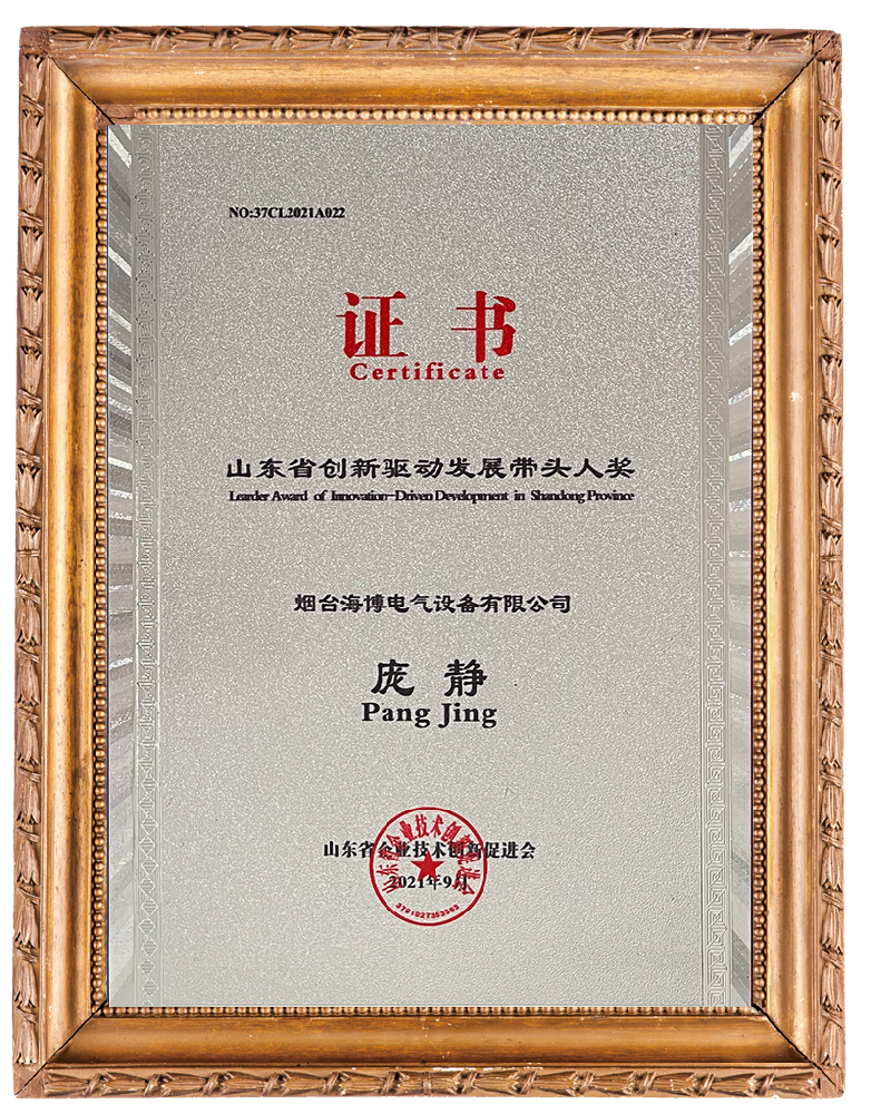 山东省创新驱动发展带头人奖