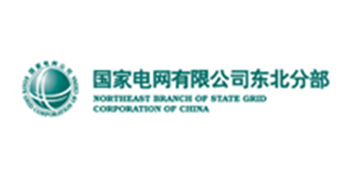 国家电网有限公司东北分部