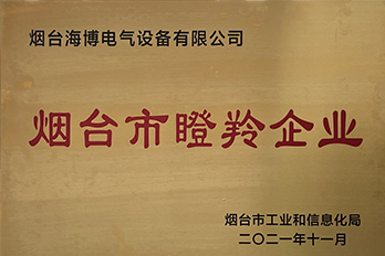 恭喜海博电气成功获评2021年度烟台市瞪羚企业